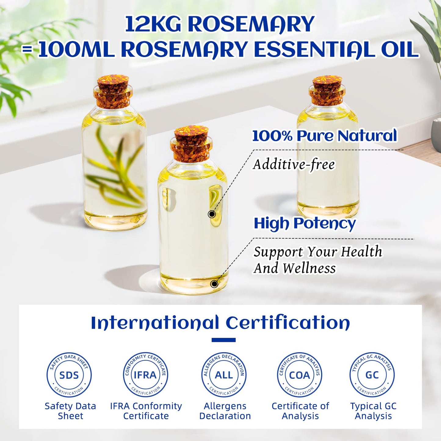 HIQILI 100ML Rosemary Oil for Hair Growth, Included 10ML Travel Bottle, 100% Pure Organic Therapeutic Grade for Hair Strengthening, Hair Loss, Dandruff, Add to Shampoo, Conditioner -3.38 Fl. Oz - myvitamincentre
